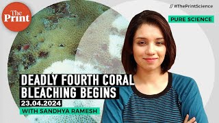 Fourth global mass coral bleaching rings marine alarms