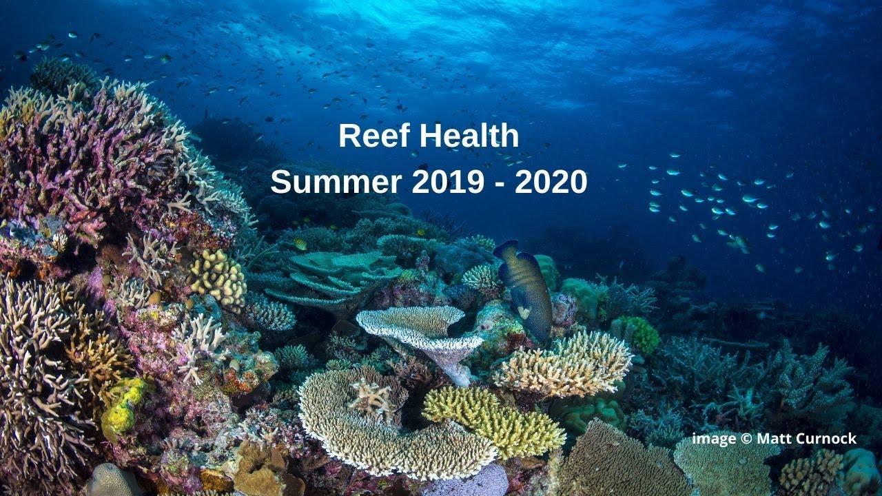 Gbrmpa Reef Health