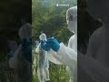 ¿Los ÁRBOLES sienten DOLOR? 🌳😢 (Estudio IMPACTANTE)