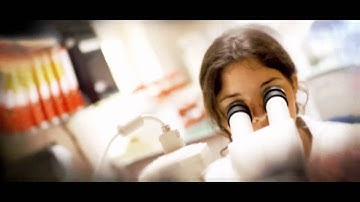 Web of Intrigue Charles Conley