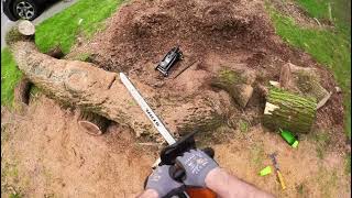 Stihl MS 250 vs Black Locust