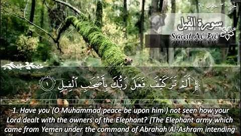 سورة الفيل ١٠٥ ماهر المعيقلي
