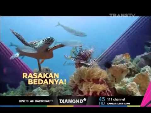 Iklan TRANSVISION - Channel Favorit Dunia