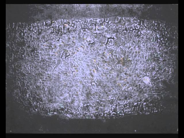 youtube-video-thumbnail