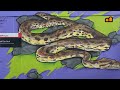 Beginning of video