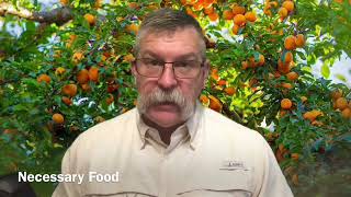 Jesus is looking for fruit - Matthew 21:43