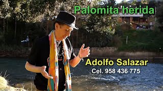 PALOMITA HERIDA. DR. / Adolfo Salazar