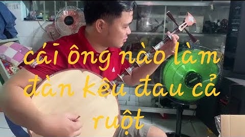 thử đàn kìm cẩm lai phím inox . mời quý khách tham khảo ạ 0987994759