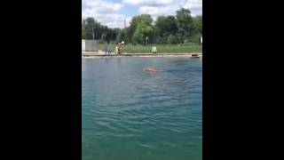 Wags Dog Park