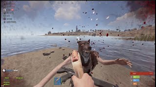 i countered Attack helicopter with an EOKA