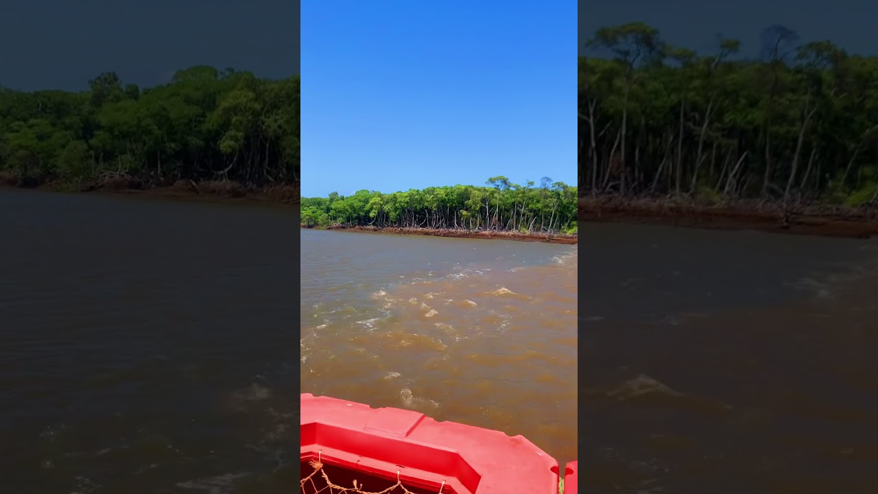 Navegando por el río Parnaiba