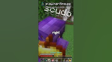 The MOST INSANE Trip Wire TRAP in MINECRAFT!