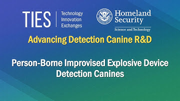 Person-Borne Improvised Explosive Device Detection Canines