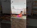 5 FAST Low Back Pain Stretches