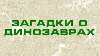 Загадки о динозаврах для детей с ответами. Развивающее видео про динозавров для детей