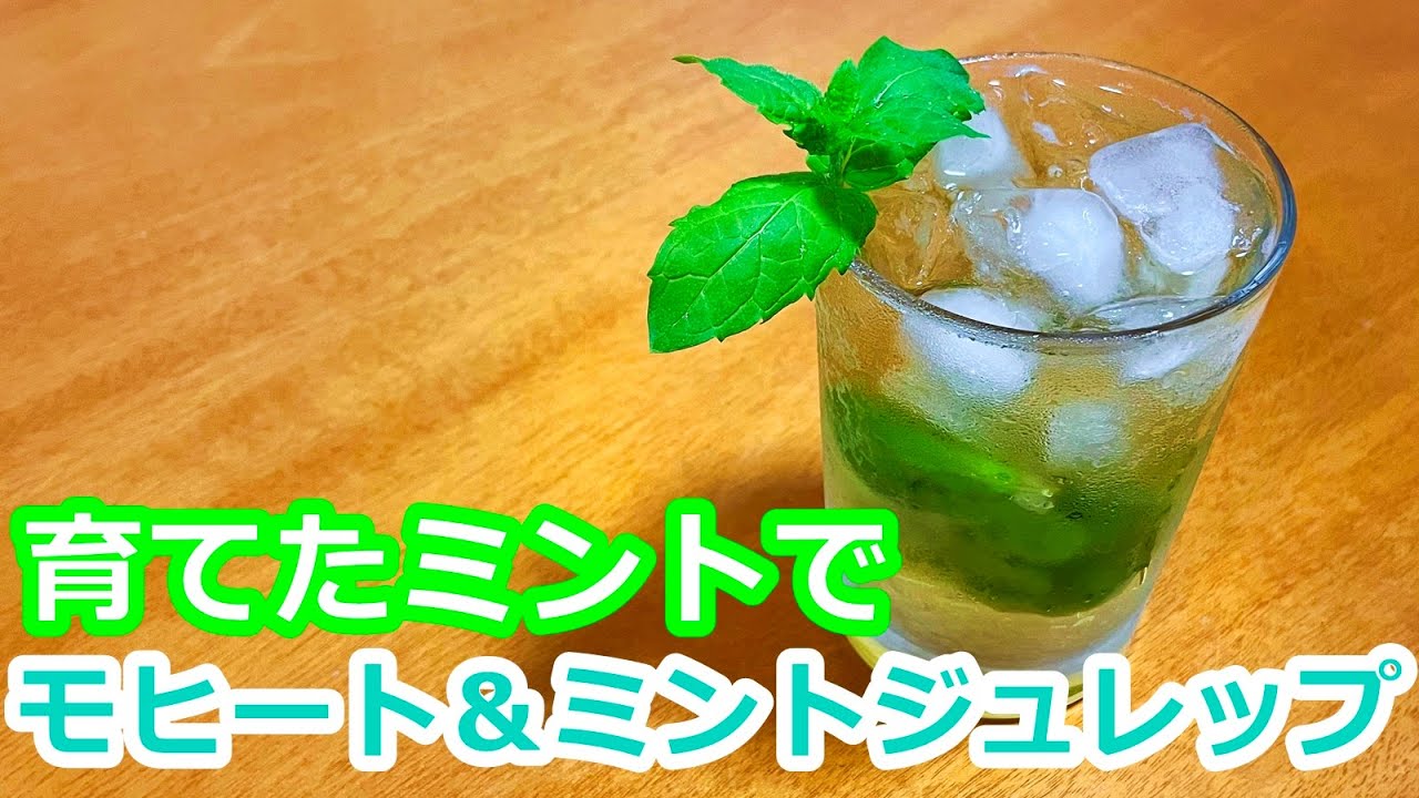 水耕栽培で育てたペパーミントでモヒートとミントジュレップを作る Youtube