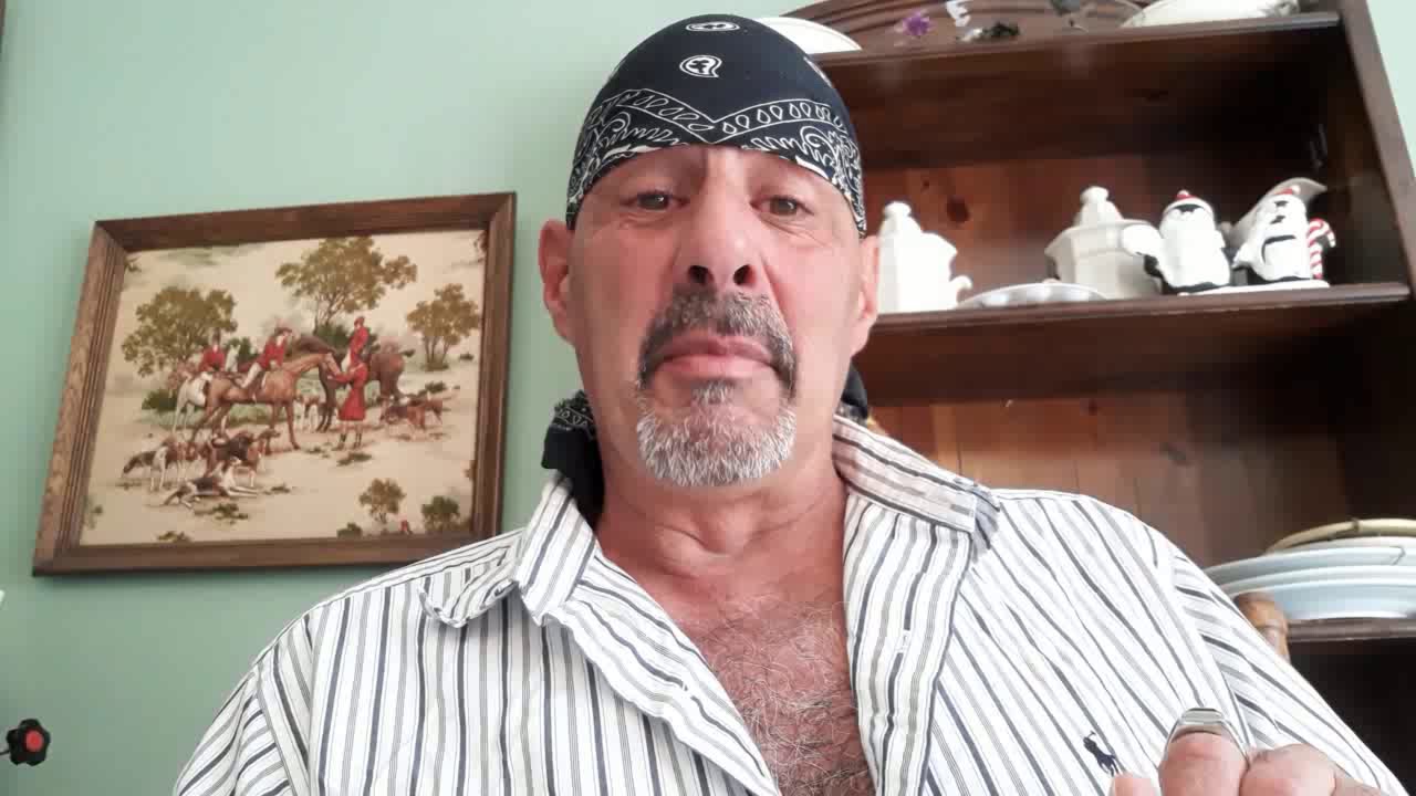 Pillowgate 🐕 pooch.