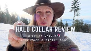 Will the Halo GPS collar work for Livestock Guardian Dogs?