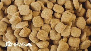 Are grainfree foods healthy for dogs?