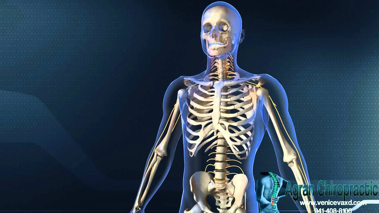 How To Treat Whiplash Injuries Venice Florida | Agran Chiropractic | Dr