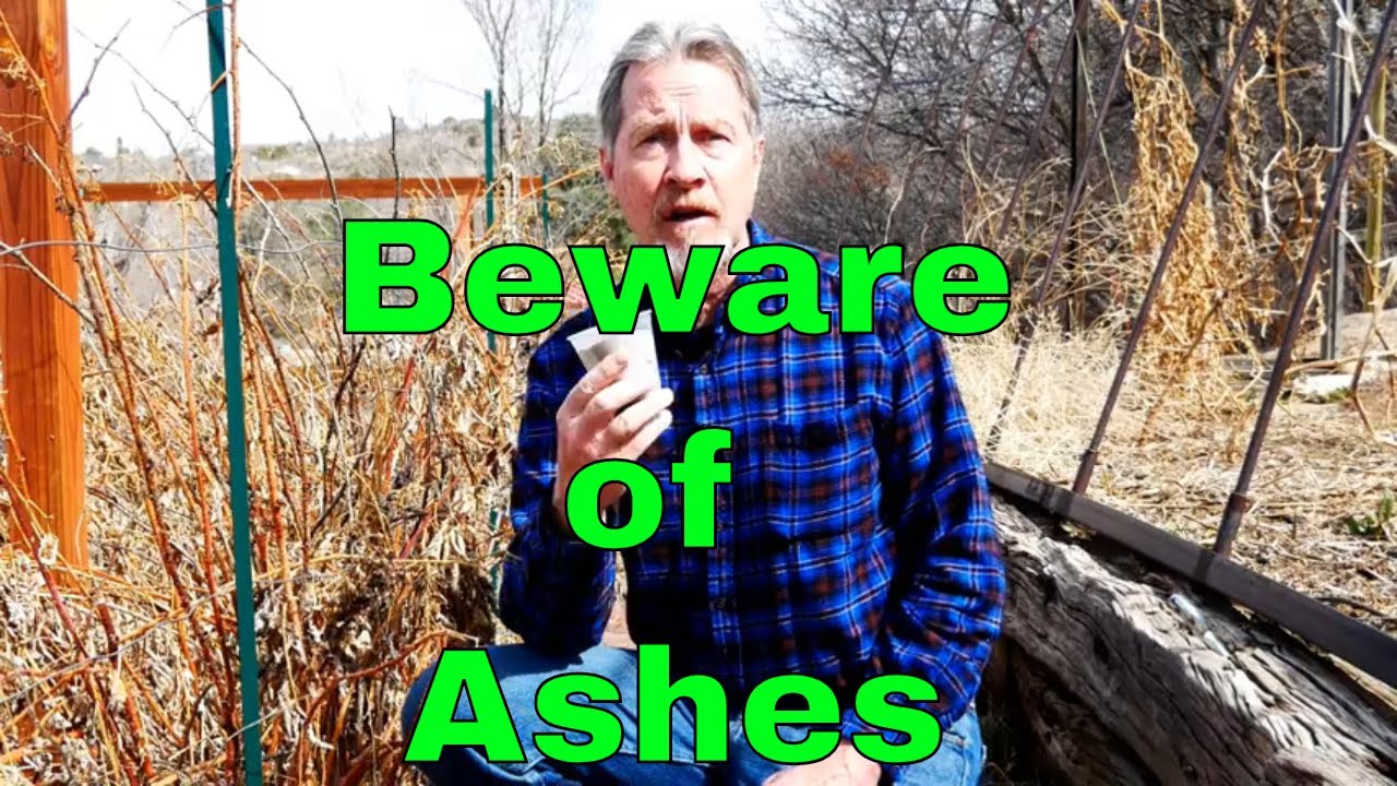 Understanding Wood Ash In The Garden It S Not All Good Youtube