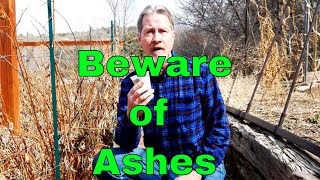 The Problem with Wood Ash in the Garden - It's Not All Good