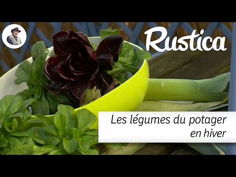 Vidéo: Récolte de légumes d'hiver - Comment récolter les cultures d'hiver