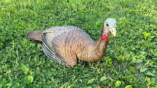 Should I Use Turkey Decoys? When and Where to Use Them