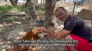 The story of Lena and Petros ❤A true love ❤  Takis Shelter