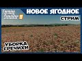 Убираем с девчёнками гречиху по контракту ✸ Новое Ягодное - стрим ✸  Farming Simulator 19