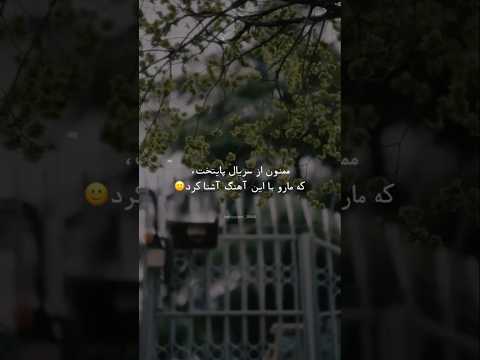 ولی این آهنگ پایتخت شب آهنگی حامد آهنگی شهاب حسینی ترانه علیدوستی ادیت پایتخت۷ احساس پایتخت
