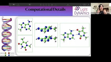 Contributed talks - Dynamical processes: electron and energy transfers, quantum biology (DynET)