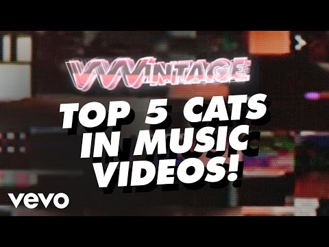 VVVintage - Cats In Music Videos! - (ft. Beyoncé, The Pussycat Dolls, Outkast, The Cure...