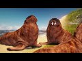3d Animation walrus