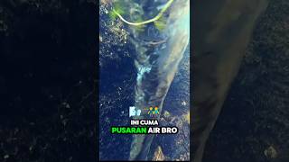 Pusaran Air Ini Muncul Karena Ini Ternyata ! #shorts