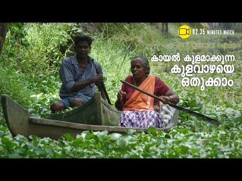 Engineering College students design cost-effective water hyacinth remover| Channeliam