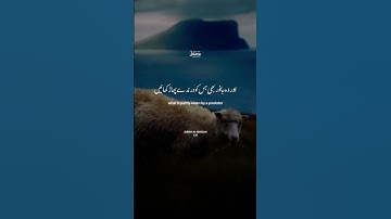 ﷽ 🤍 ( سورة المائدة -3) ( Surah Al-Ma'idah Verse - 3)
