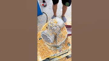 Pellet Feed Making Machine