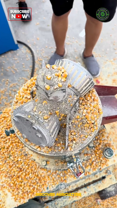 Pellet Feed Making Machine
