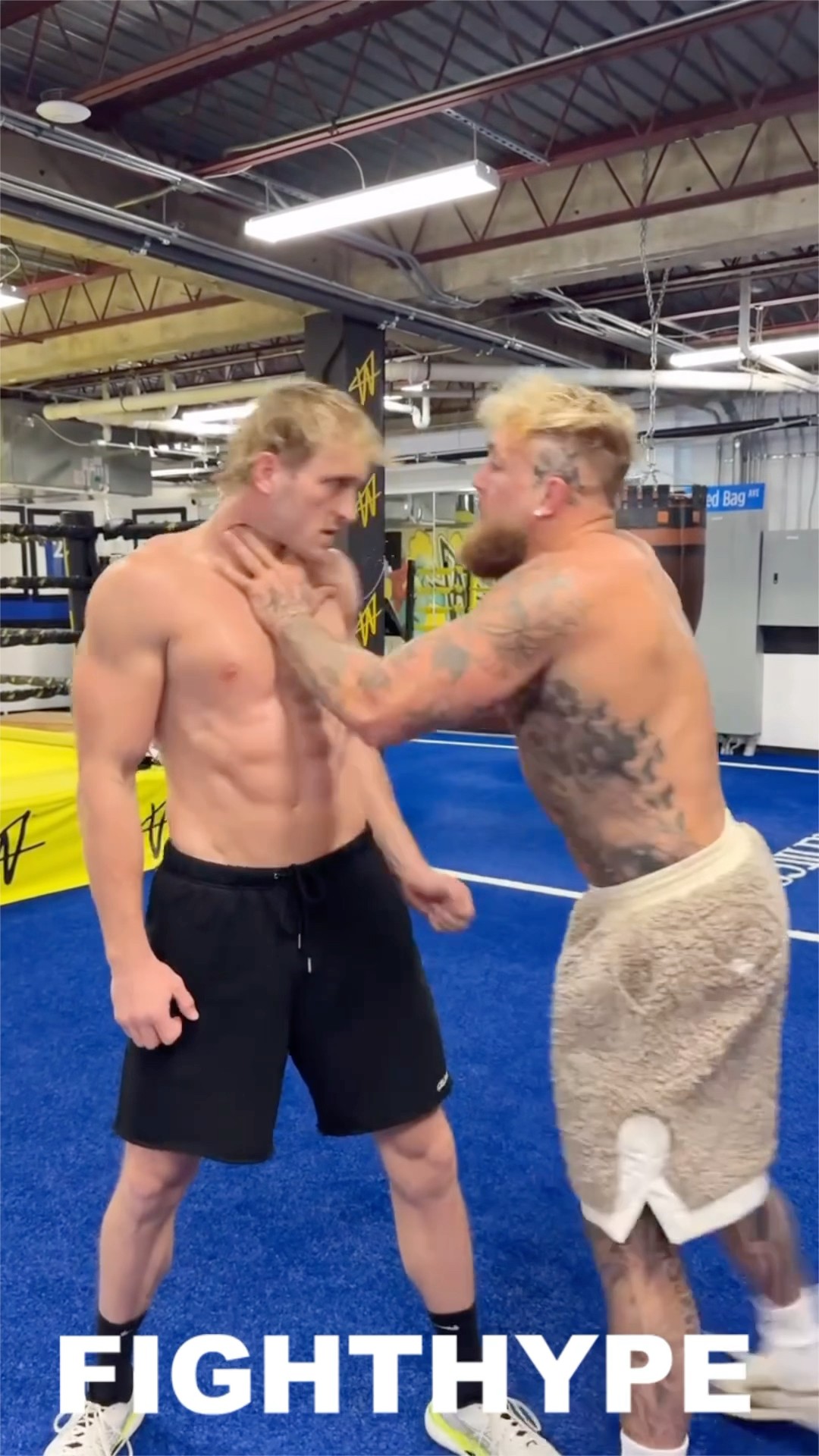 Jake Paul CHOKE SHOVES Logan Paul; TRIES TO PUNK his own brother at FACE OF