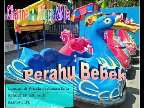 Naik Perahu Bebek di