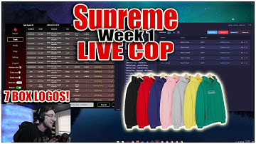 Supreme Week 1 Kaws Box Logo LIVE COP!