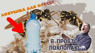 DIY | Бесплатная ловушка для ос из #пластиковой бутылки РАБОТАЕТ √