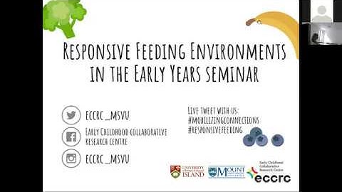 Responsive Feeding Environments in the Early Years Seminar