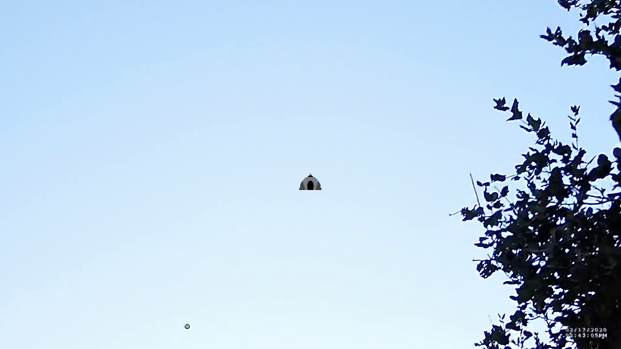 Sporting clays Bay Area (pair 18) YouTube