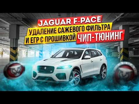 Jaguar F-Pace.Удаление сажевого фильтра, ЕГР и Чип-Тюнинг