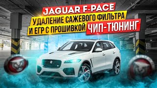 Jaguar F-Pace.Удаление сажевого фильтра, ЕГР и Чип-Тюнинг