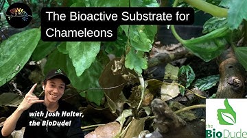 Bioactive Substrate for Chameleons with the BioDude!