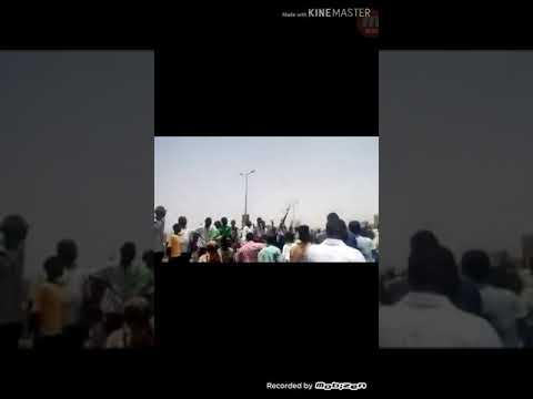 الجياشي الاتزوج الكنداكه