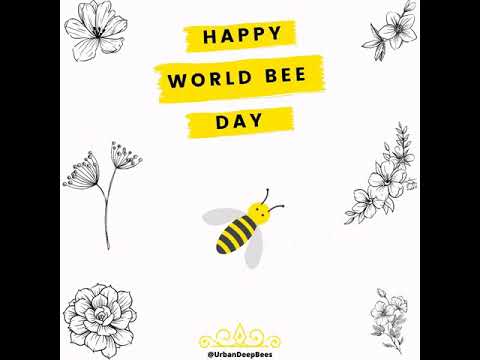 Happy World Bee Day Youtube